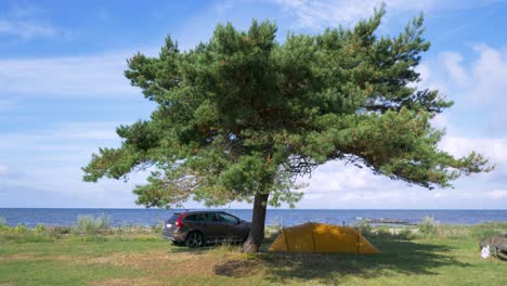 Schöner-Campingplatz-Direkt-Am-Meer,-Öland,-Schweden