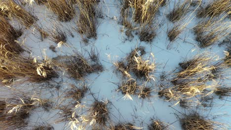 winter aerial view of snow-covered grassy field