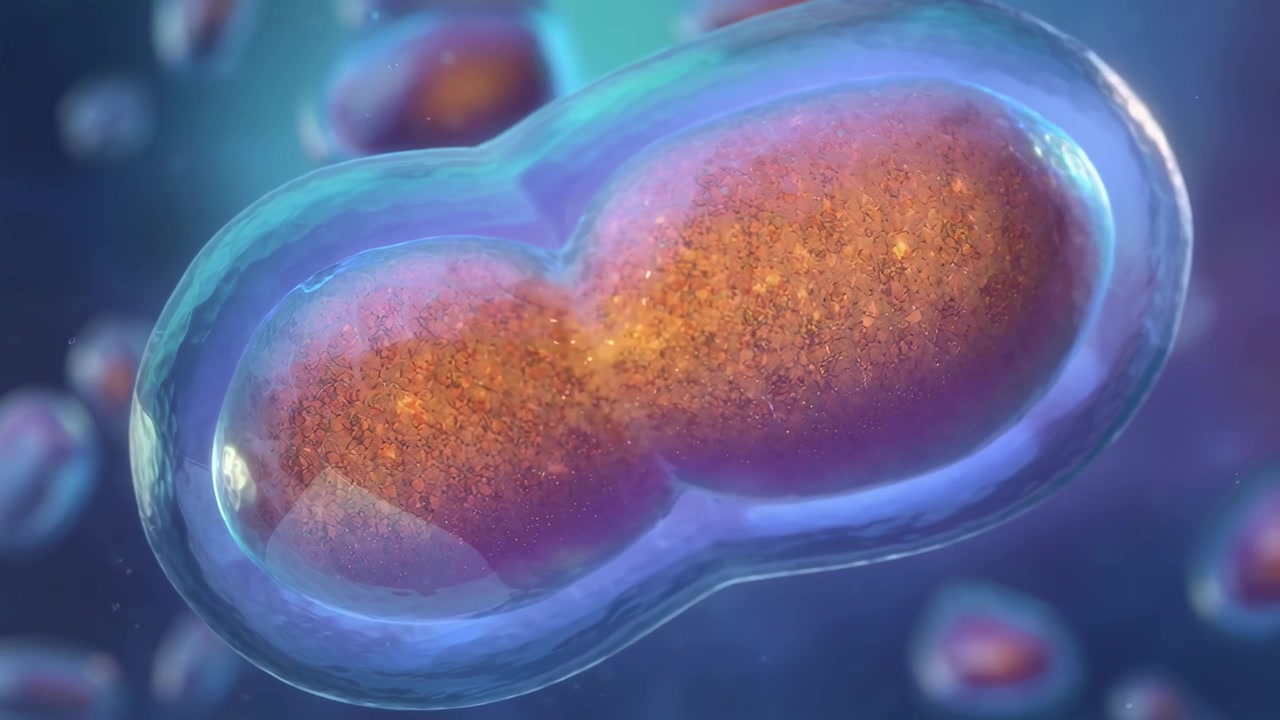 Microscopic View of Biological Cell Division Process