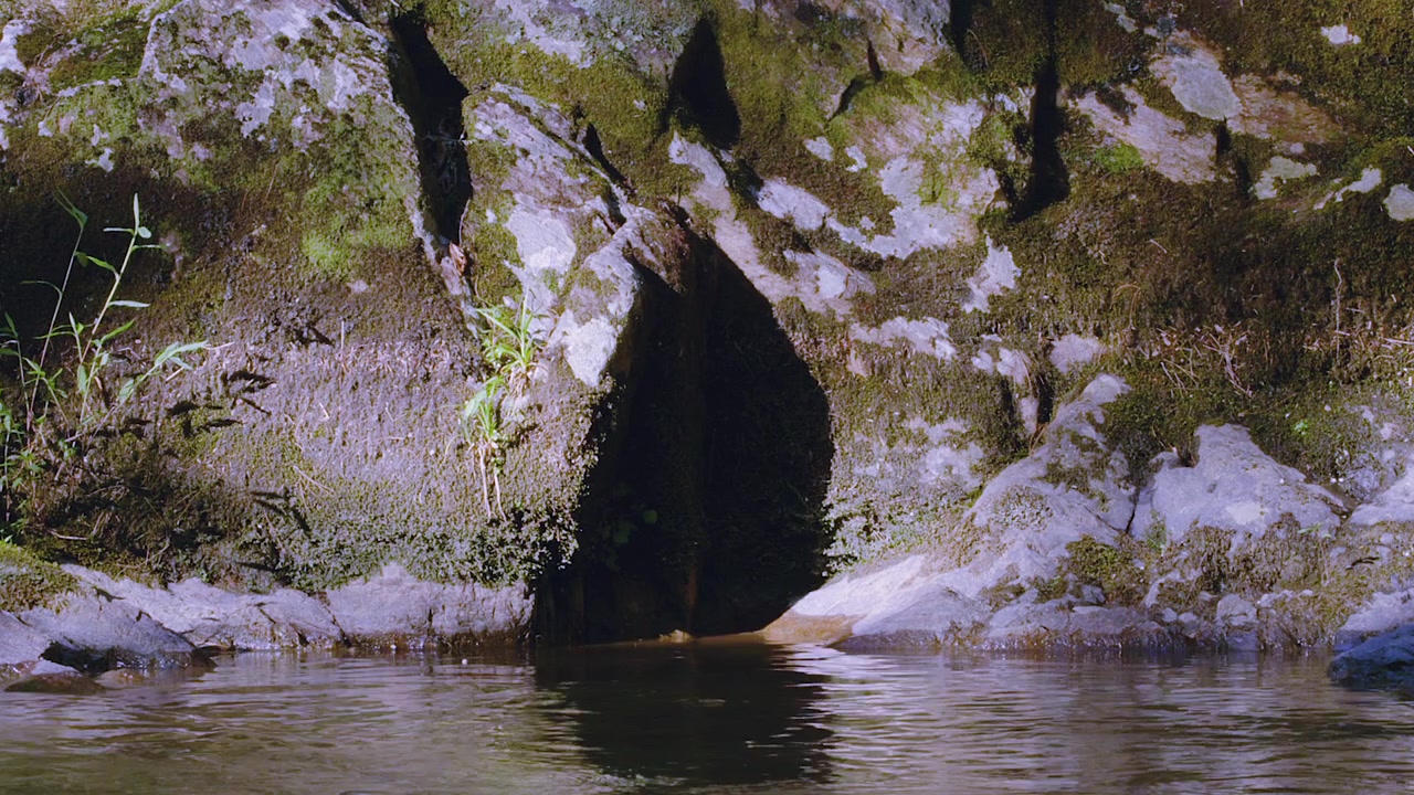 La calma pozza poco profonda di un ruscello d'acqua dolce, di fronte a una parete rocciosa muschiosa con caratteristiche simili a caverne, che assomiglia a un volto