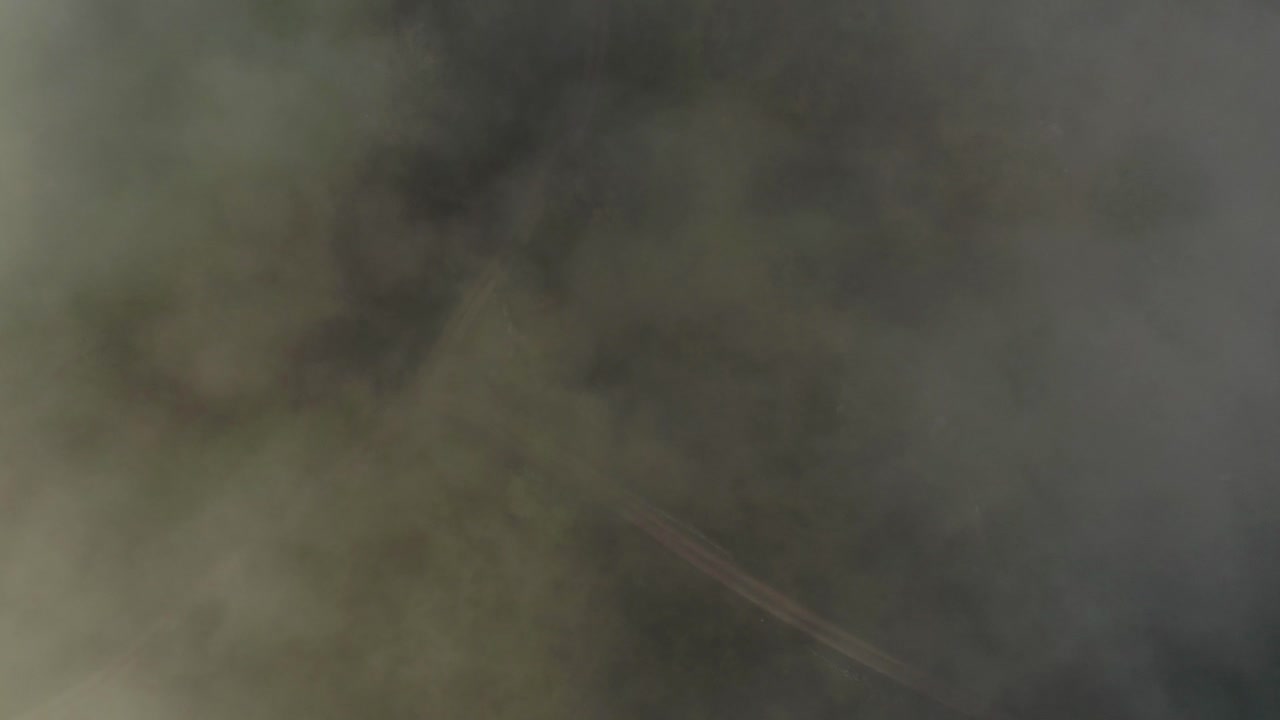 드론 비행은 카메라를 머리 위에 일부 구름을 가끔씩 그들의 도로와 나무와 식물과 함께 숲을 보는