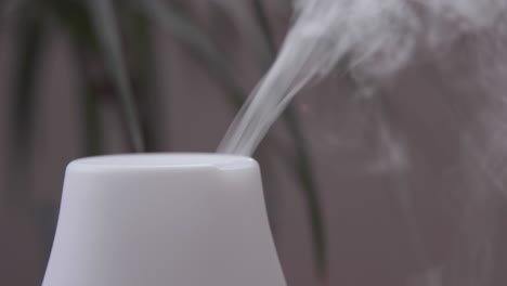 essential oil diffuser misting close up