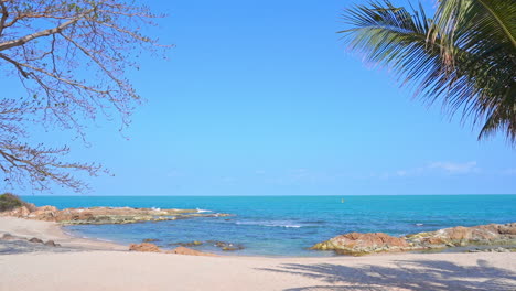 a secret cove with a small sandy beach and palms