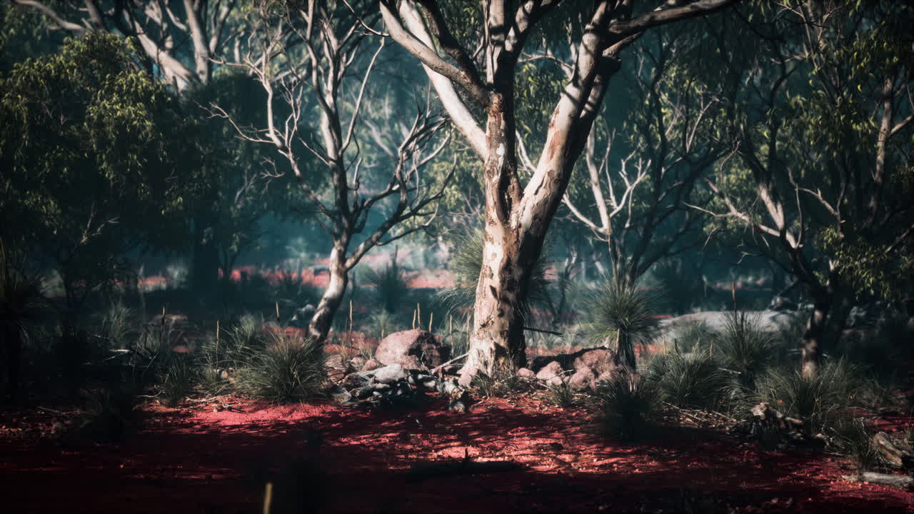 나무 와 관목 이 있는 해안 식물