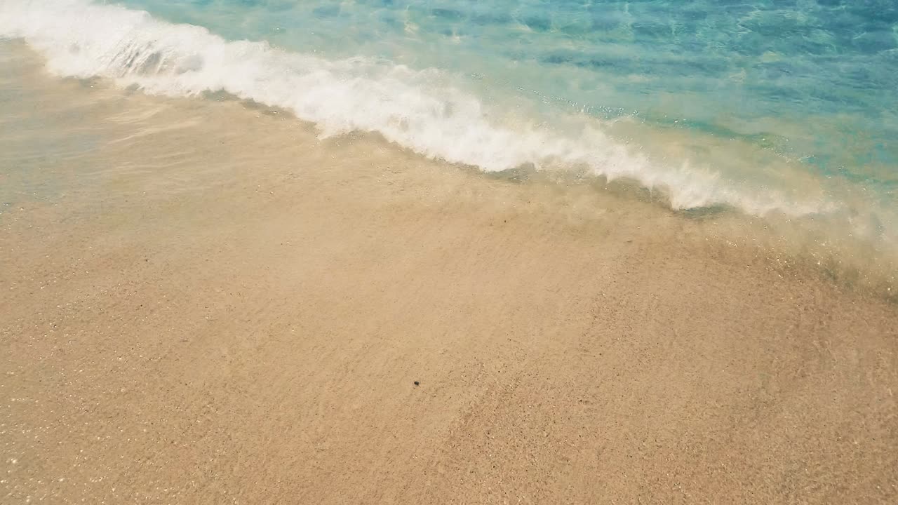 열대 카리브 해 해변, 황금 모래 바다, 휴가, 휴식 및 여행 개념