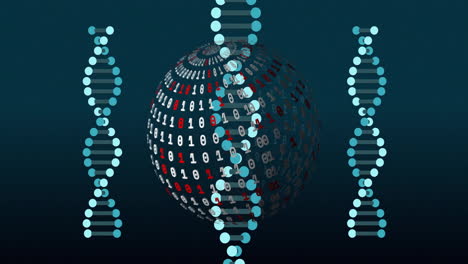 animation of digital data processing over dna strands spinning and globe with binary coding