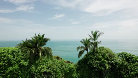 palm trees on small tropical island in pacific ocean, costa rica