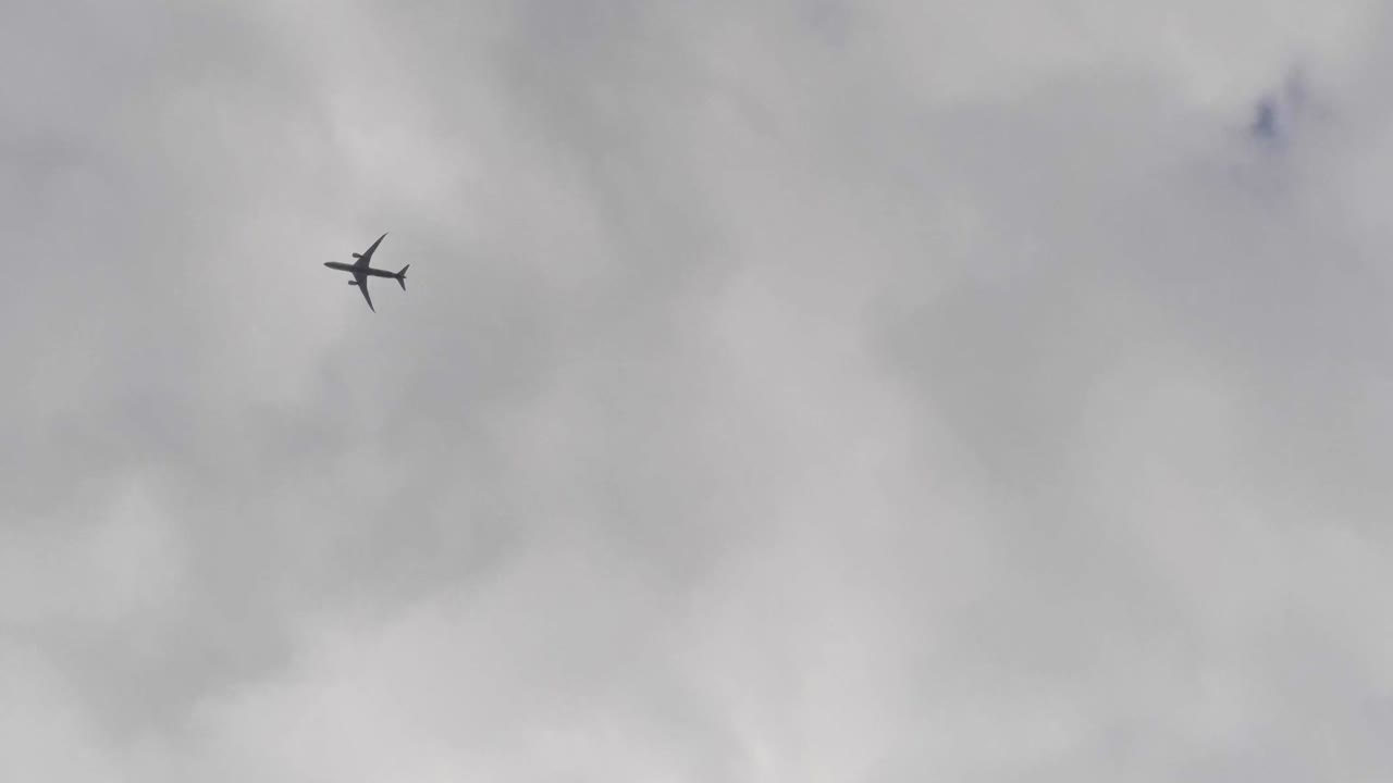Vertikal video af at kigge op mod himlen, mens et fly flyver forbi
