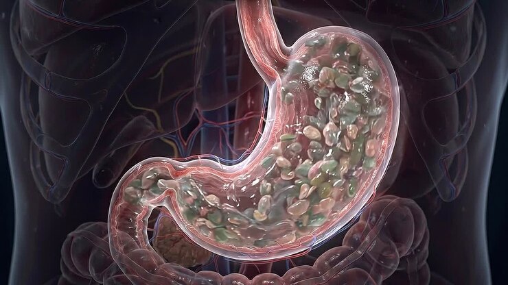 Transparent human torso showing detailed liver anatomy with surrounding organs in advanced medical visualization