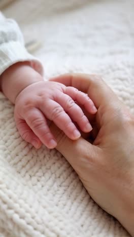 a baby's hand is being held by a parent. the baby's hand is small and delicate