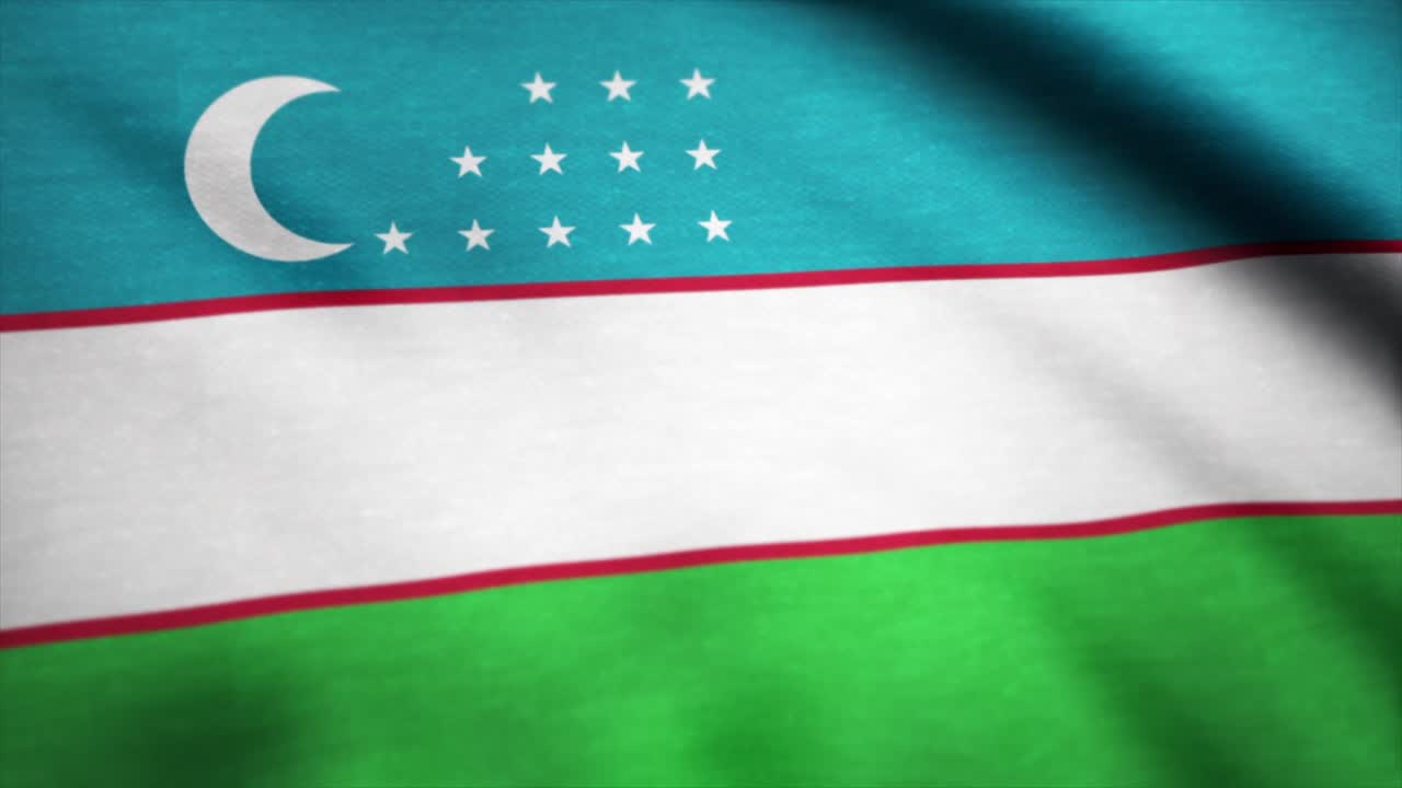 현실적인 아름다운 우즈베키스탄 발. 우즈베이키스탄의 국기를 흔들고