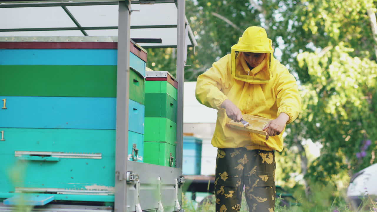 Beekeeper Working with Hives
