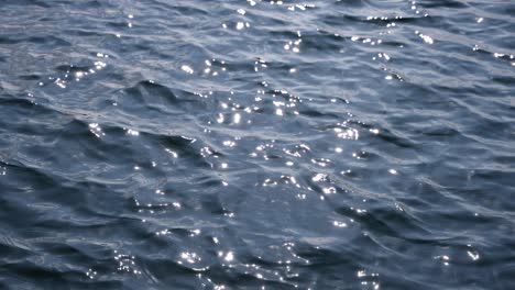 the shot of wavy water surface of lake with sun reflection, the shot goes of focus