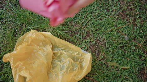 volunteer hands sorting plastic in grass at eco-friendly cleanup action closeup.