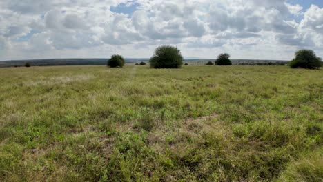 Ruhe-In-Der-Savannenlandschaft-Der-Savanne