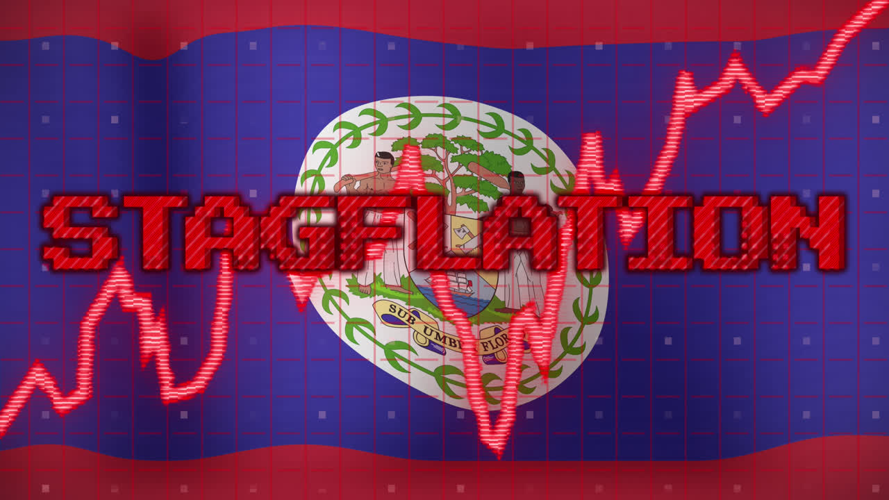 데이터 처리 및 스태그플레이션 텍스트의 애니메이션 벨리즈의 발