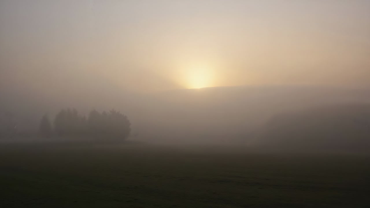 Emerging sun and low-lying fog bathing rural field in warm light, revealing silhouetted trees