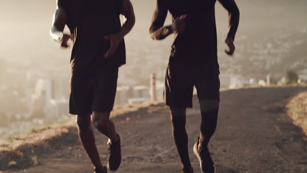 더 나은 당신으로 가는 여정에 동료