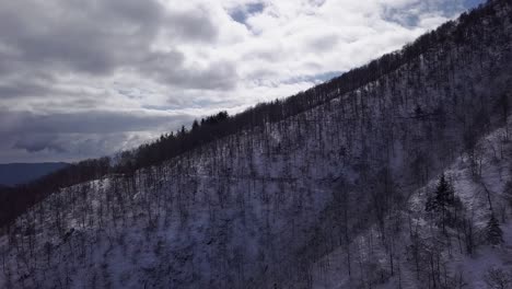 Scenic-aerial-view-of-mountainside-trees-with-snow-covered-ground-on-cloudy-blue-sky-day-with-mountain-range-in-background,-Montseny,-Barcelona,-descending-drone