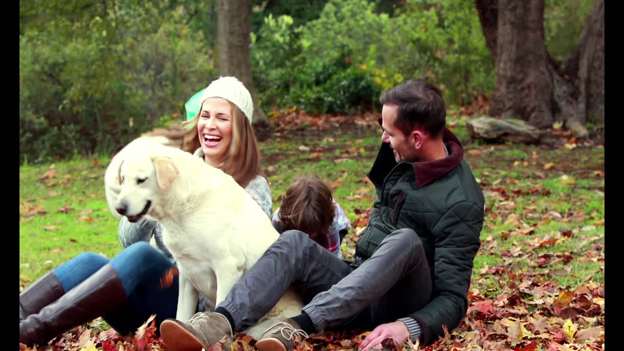 공원 에서 가을 날 에 개 와 함께 하는 가족