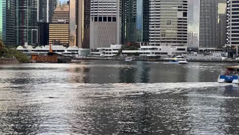 brisbane public transportation river ride, citycats ferry cruising towards business central district riverside terminal during the day with shimmering river water reflection, queensland, australia