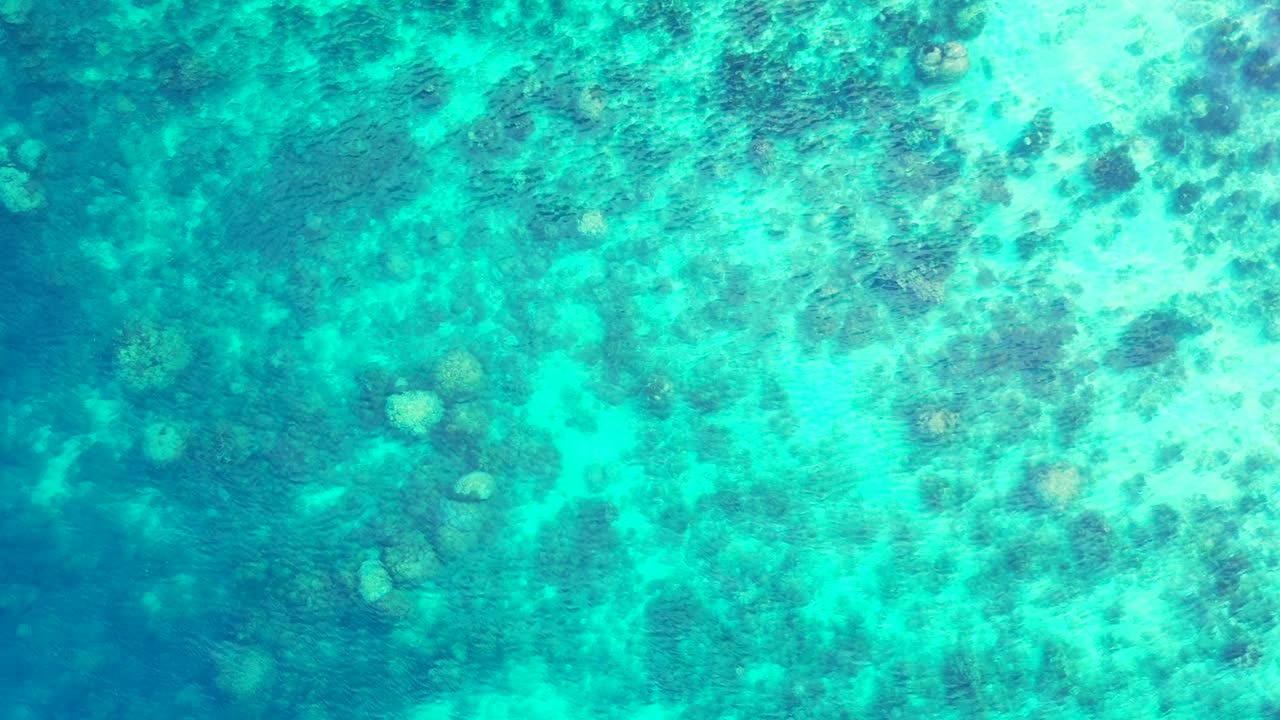 hermosa textura marina con coloridos patrones de arrecifes de coral bajo aguas tranquilas y claras de laguna turquesa poco profunda, bermudas