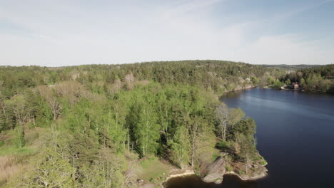 Aerial-view-of-a-forest-trees-near-a-lake-in-Sweden,-sunny-day,-drone