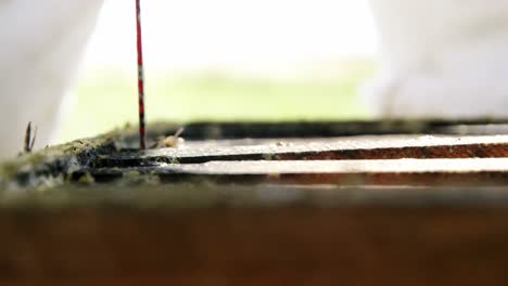 Beekeeper-removing-a-honey-frame-from-beehive