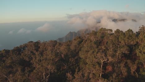 Vista-Aérea-Que-Revela-La-Costa-De-Napali-Cubierta-De-Nubes-A-Través-De-Los-árboles-Al-Atardecer-En-Kauai,-Hawaii