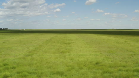 Low-aerial-above-canola-field-not-ready-for-harvest,-Palouse-countryside