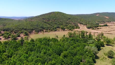 Toma-Aerea-Del-Humedal-El-Kala