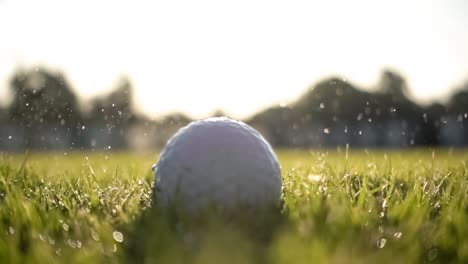 unsuccessful golf club hits a golf ball in a super slow motion. drops of morning dew and grass particles rise into the air after the impact.