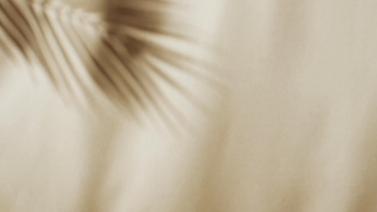 Animation of shadow of palm tree leaf moving with copy space over white fabric background