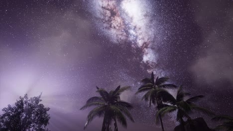 Astro-De-La-Galaxia-De-La-Vía-Láctea-Sobre-La-Selva-Tropical.