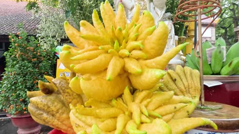 vibrant buddha's hand fruit arrangement in hanoi