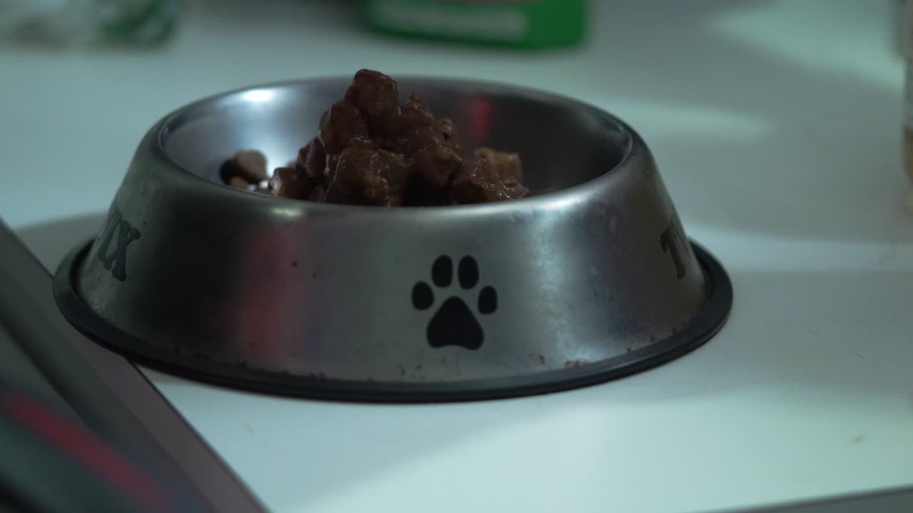 Close Up Shot of Canned Dog Meat Being Poured on Kibble