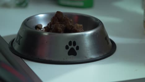 close up shot of canned dog meat being poured on kibble
