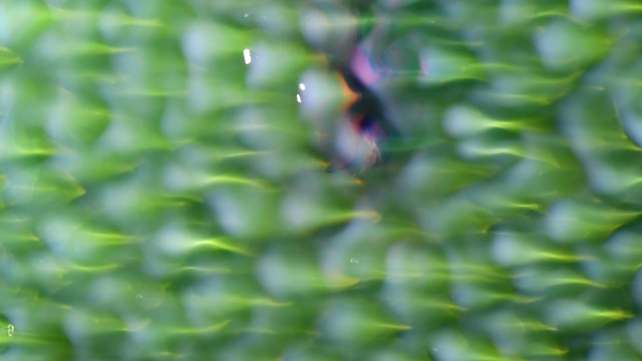 ¿crees que la bonita criatura morada, azul y amarilla disfruta de su vida en el rebosante mar de neón?