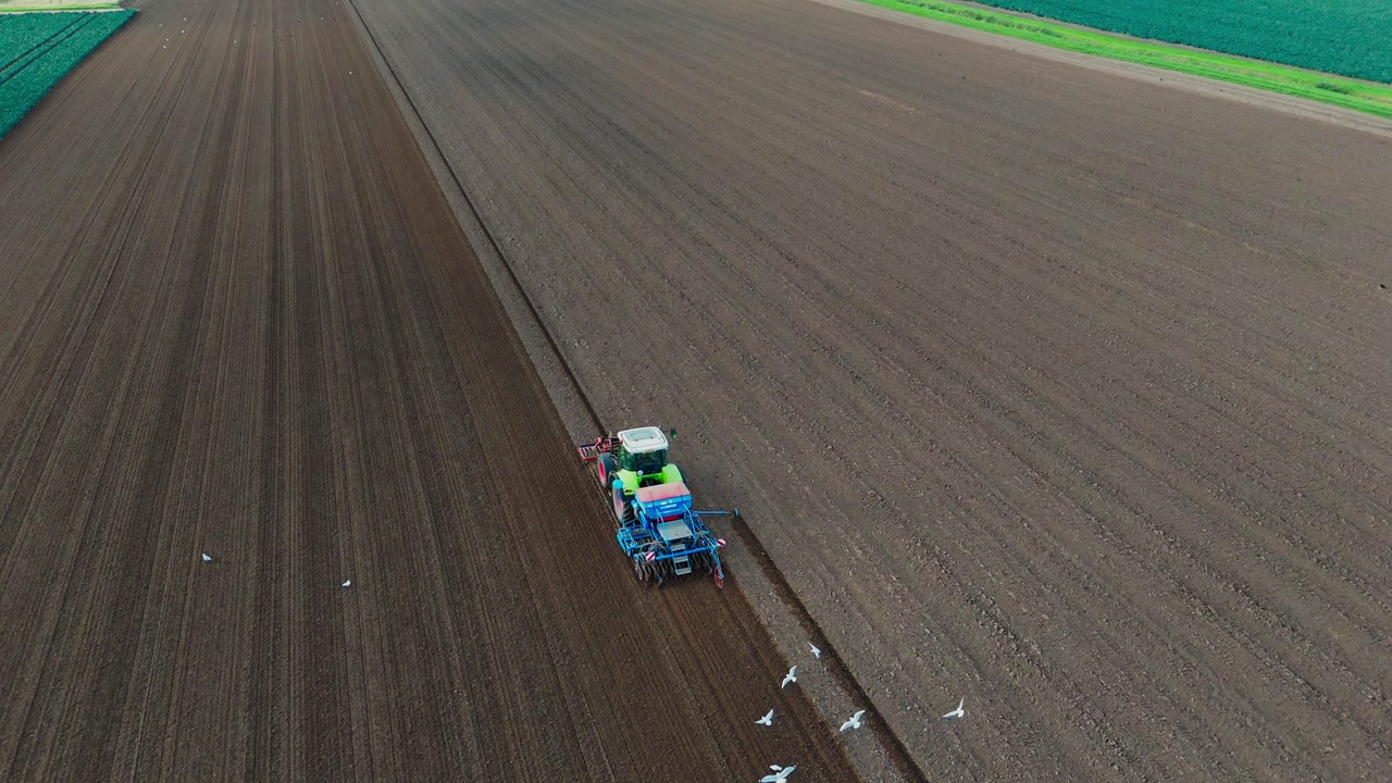 Aerial view of a green tractor plowing a field, cultivating land with a spike tooth harrow cutting, birds in the field looking for food. Summer sunset rural farmland, food production and crop harvest.