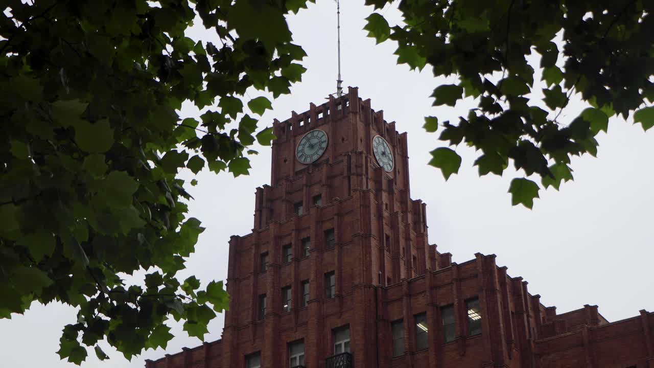 도쿄 최고의 전망