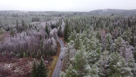 Car-leaving-a-city-and-entering-a-forest-and-going-a-journey