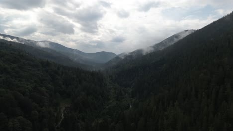 Sinking-down-into-valley-covered-by-pineforest-and-wilderness-with-hills-in-the-distance-and-a-cloudy-sky-overhead