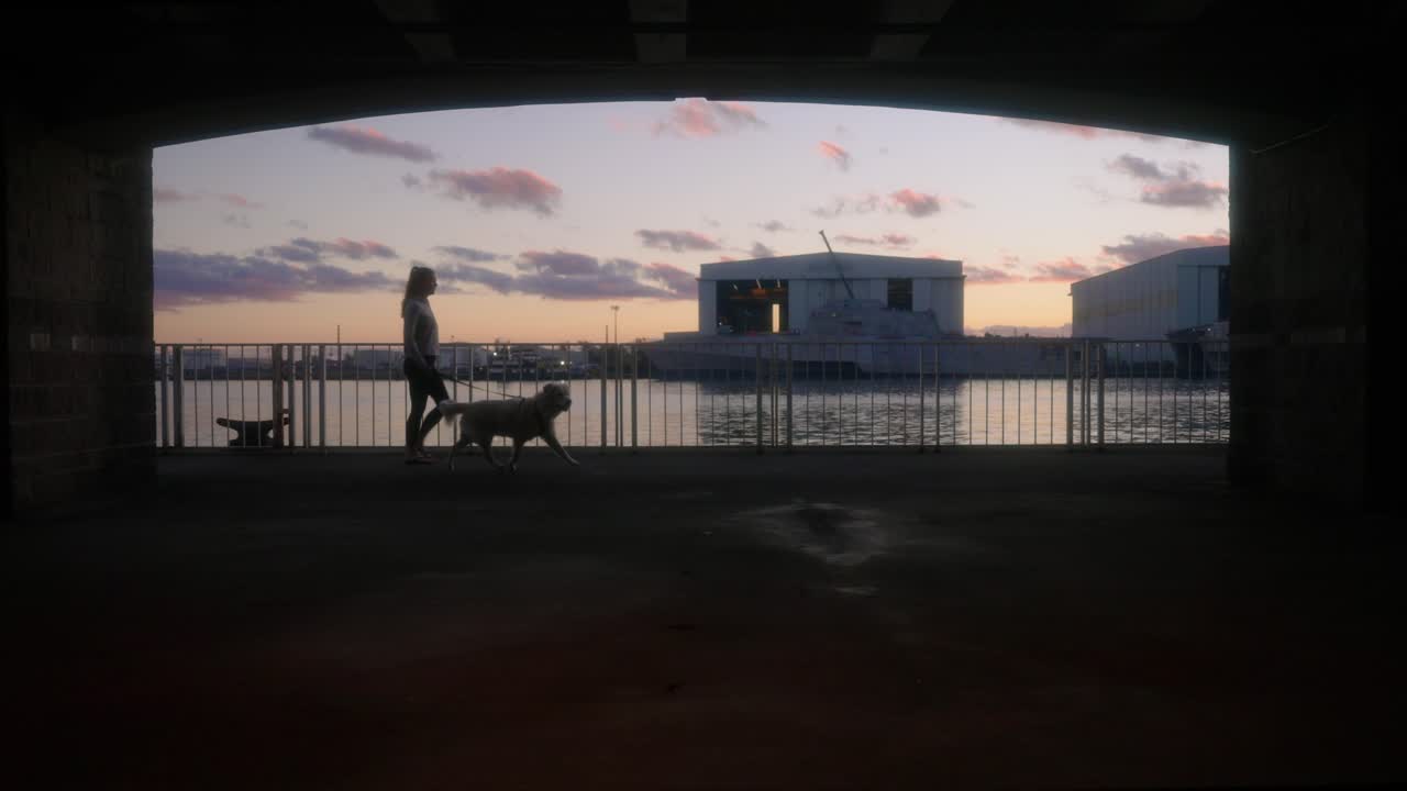 Donna e cane a passeggio al tramonto presso una proprietà sul lungomare con vista incorniciata da una struttura in cemento e una grande nave sullo sfondo, nel porto di Mobile, Alabama, in slow motion 4K