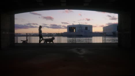 woman and dog on walk at sunset at waterfront property overlooking framed by concrete structure with large ship in background in mobile alabama seaport in slow motion 4k