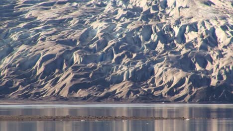 Close-shot-of-Reid-Glacier-in-the-summer,-in-Alaska