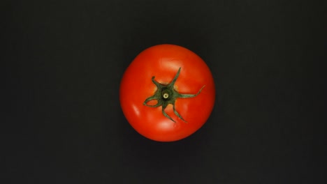 el fruto entero del tomate maduro gira alrededor de su eje sobre un fondo rojo.