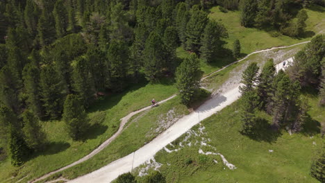 aerial view of mountain bikers navigating a winding forest trail in an alpine landscape, surrounded by lush greenery and tall pine trees