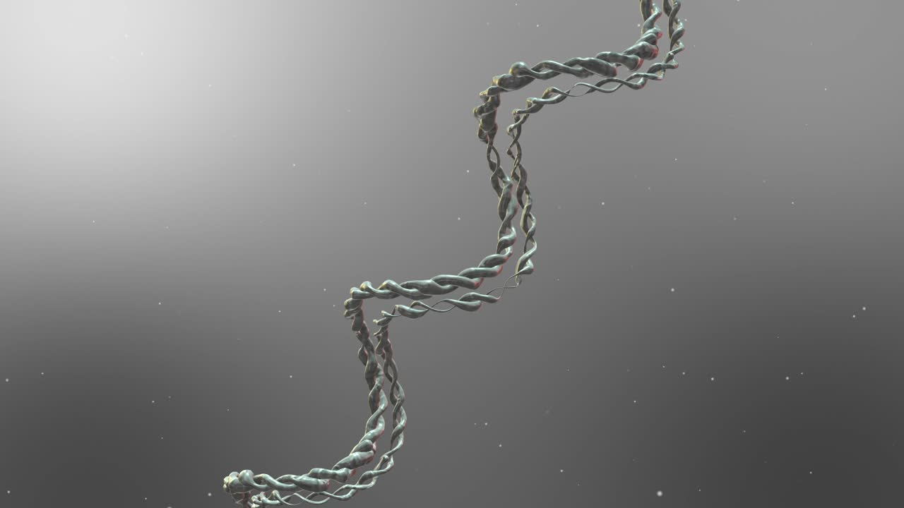 DNA 더블 헬릭스