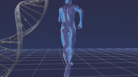 hombre digital corriendo en un ciberespacio con una hélice de adn en el fondo