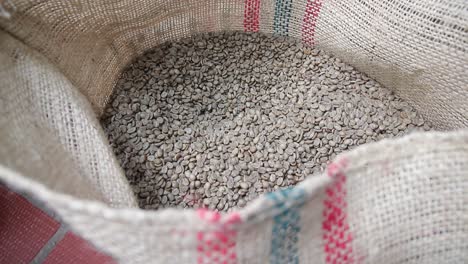 unroasted coffee beans in a large storage sack